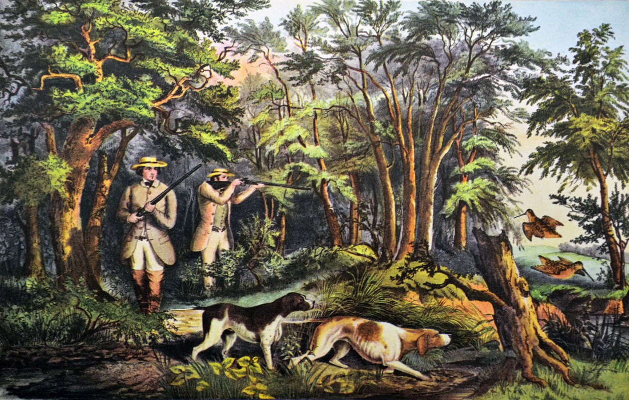 Woodcock skyting av N. and Ives, J.M. Currier