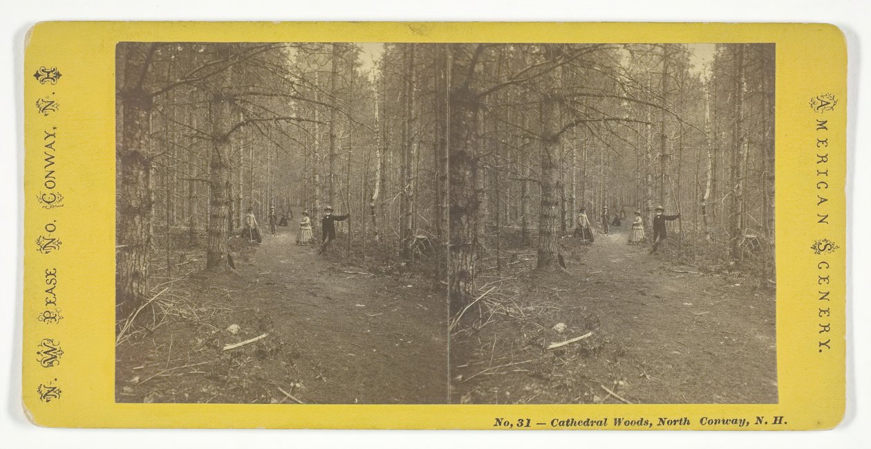 Cathedral Woods, North Conway, N.H., midten av 1800-tallet. av N.W. Pease