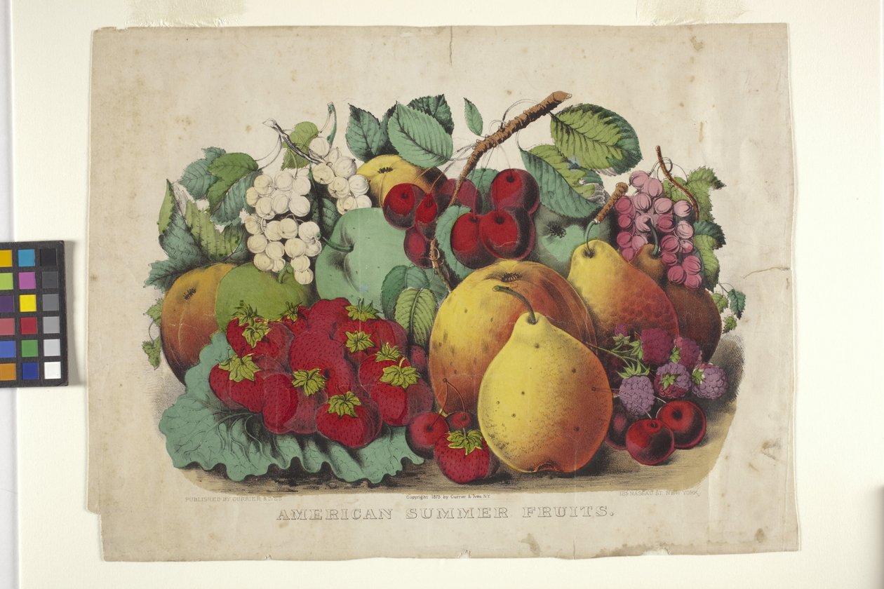 American Summer Fruit (håndfarget litografi) av N. and Ives J.M. (1824 95) Currier