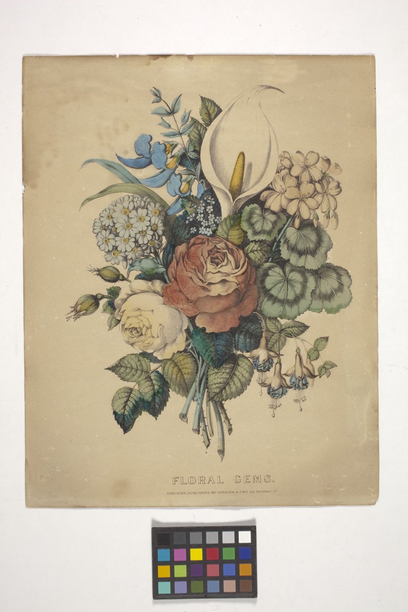 Floral Gems (håndfarget litografi) av N. and Ives J.M. (1824 95) Currier