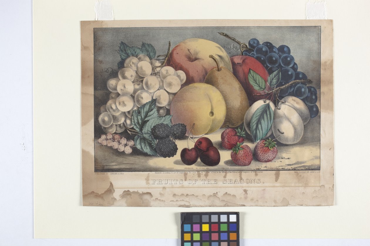 Frukter av sesongen (håndfarget litografi) av N. and Ives J.M. (1824 95) Currier