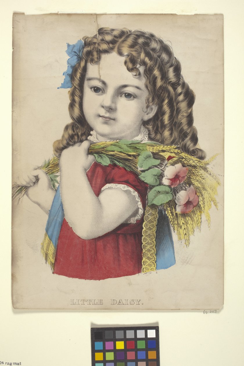 Little Daisy (håndfarget litografi) av N. and Ives J.M. (1824 95) Currier