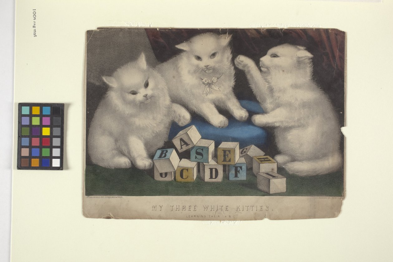 Mine tre hvite kattunger (håndfarget litografi) av N. and Ives J.M. (1824 95) Currier