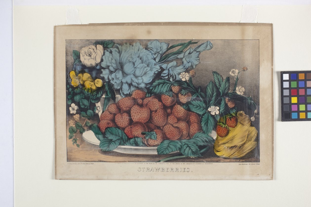 Jordbær (håndfarget litografi) av N. and Ives J.M. (1824 95) Currier