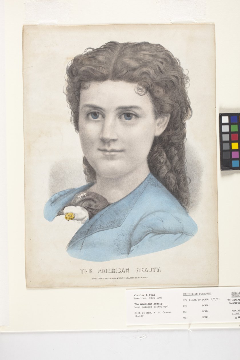The American Beauty (håndfarget litografi) av N. and Ives J.M. (1824 95) Currier