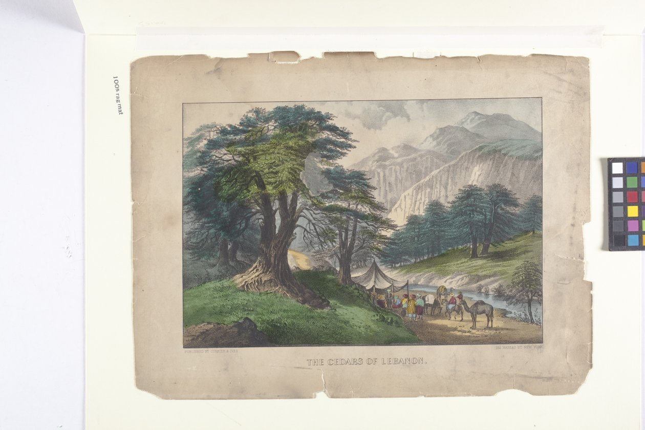 The Cedars of Lebanon (håndfarget litografi) av N. and Ives J.M. (1824 95) Currier