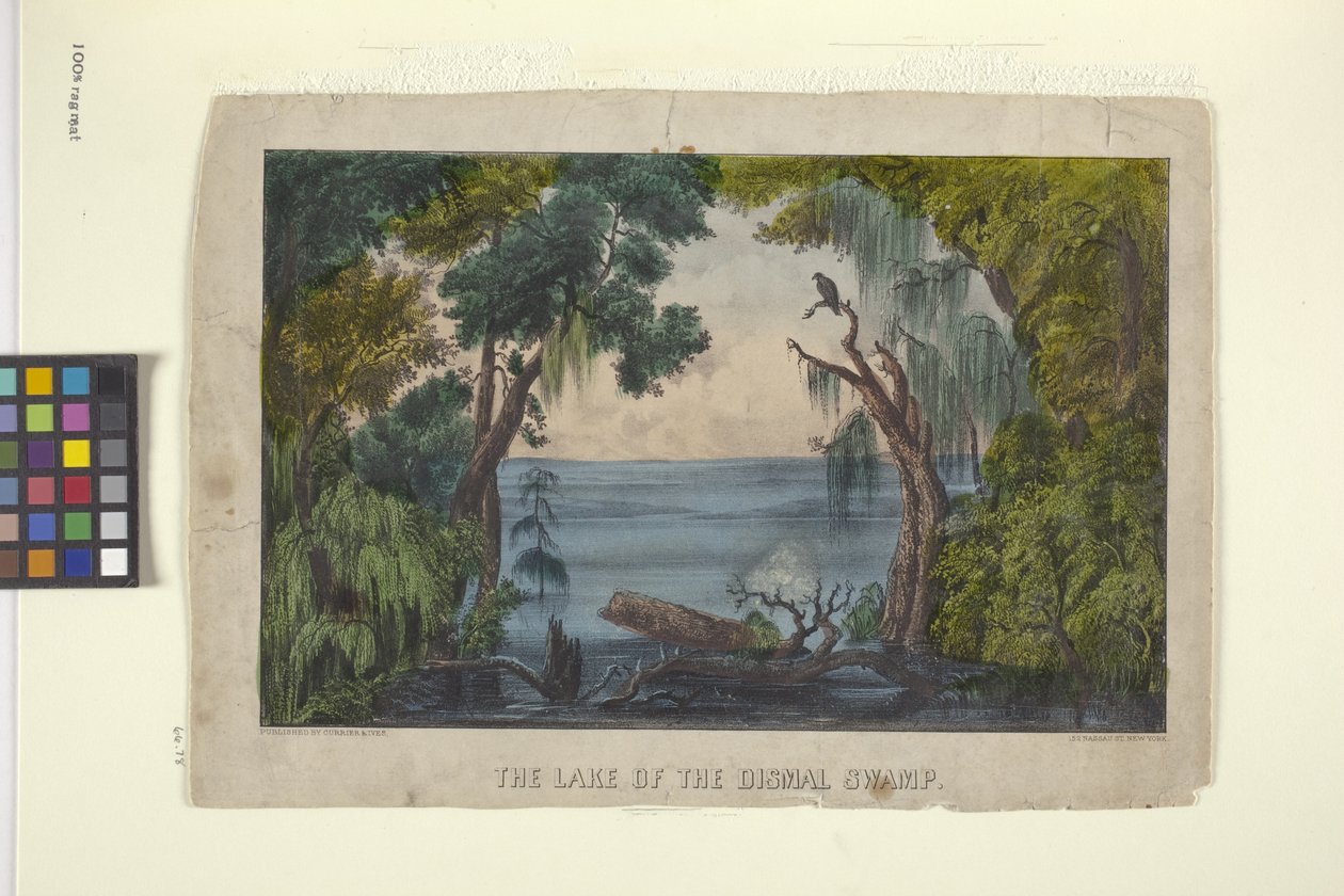 The Lake Of The Dismal Swamp (håndfarget litografi) av N. and Ives J.M. (1824 95) Currier