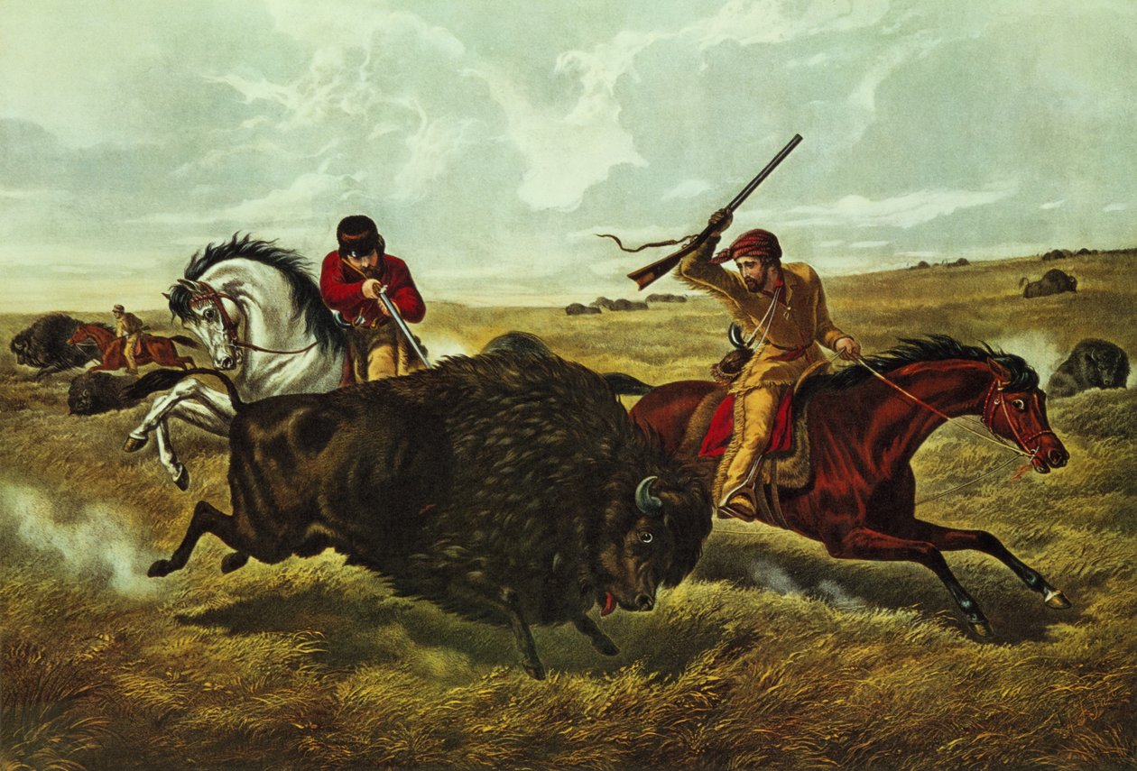 Life on the Prairie - the Buffalo Hunt, 1862 (farge litho) av N. and Ives, J.M. Currier