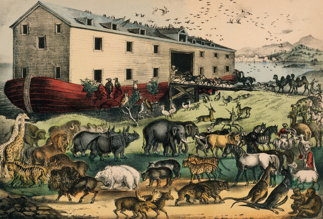 Noahs Ark, 1874–78 (håndfarget litografi) av N. and Ives, J.M. Currier