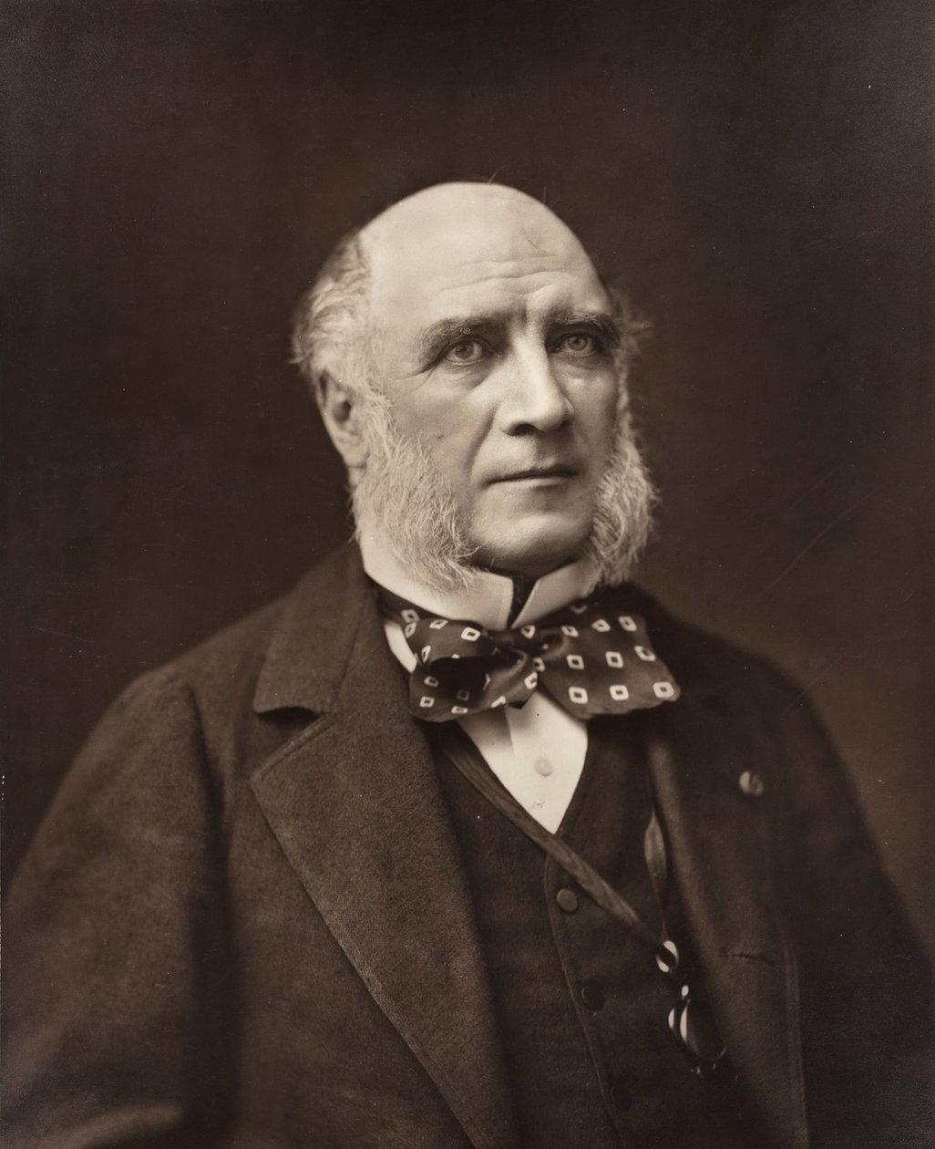 Élie-Louis, hertug Decazes fransk statsmann og diplomat, 1819-1886, ca. 185377. av Nadar