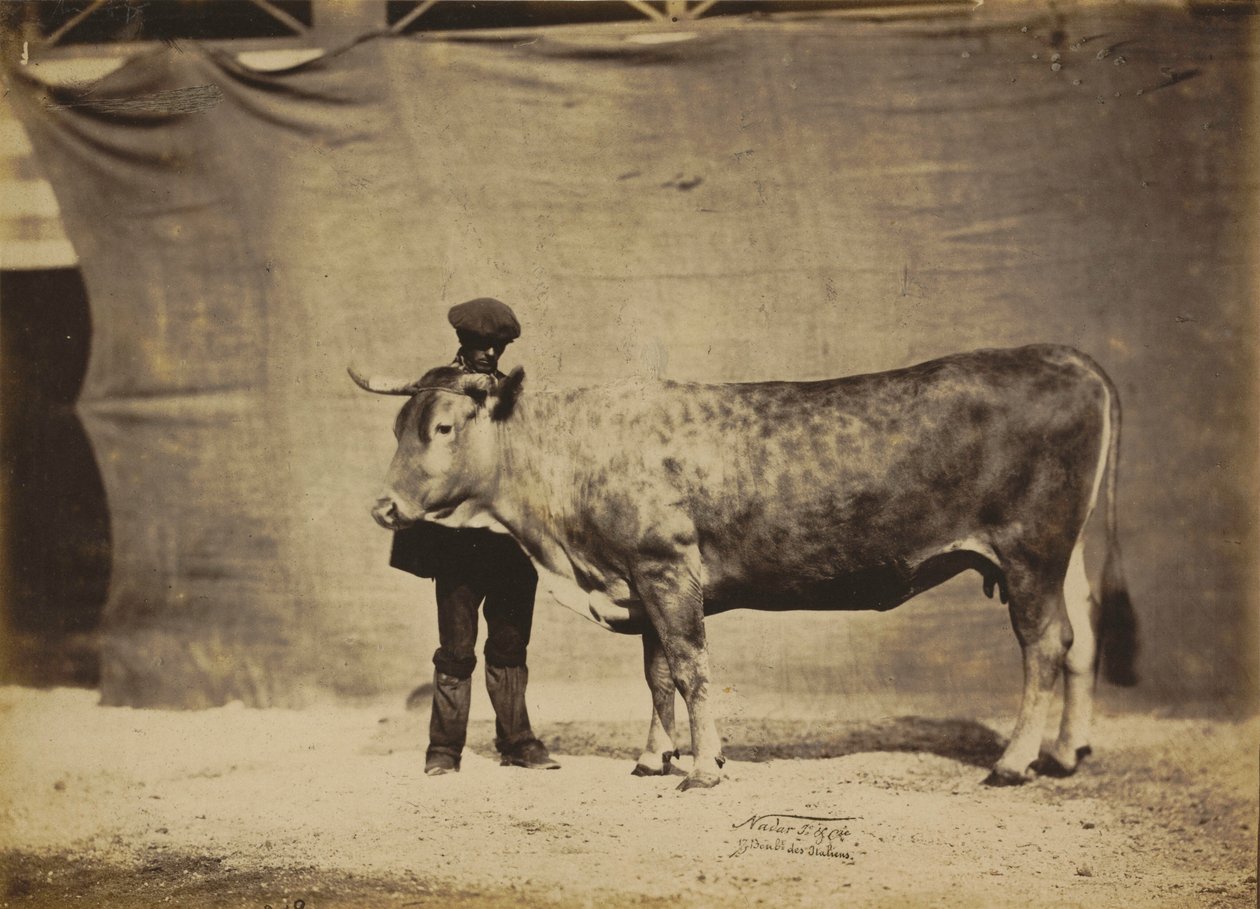  av Nadar Jeune (1825 1903)