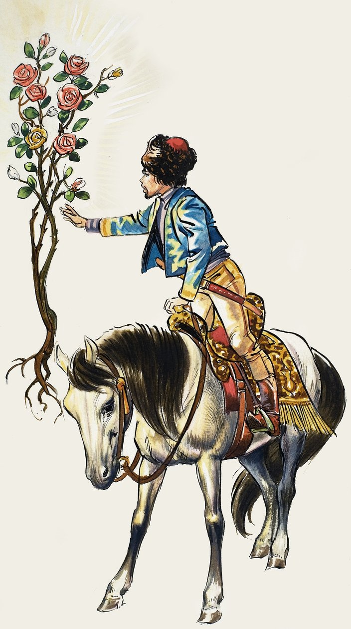  av Nadir Quinto