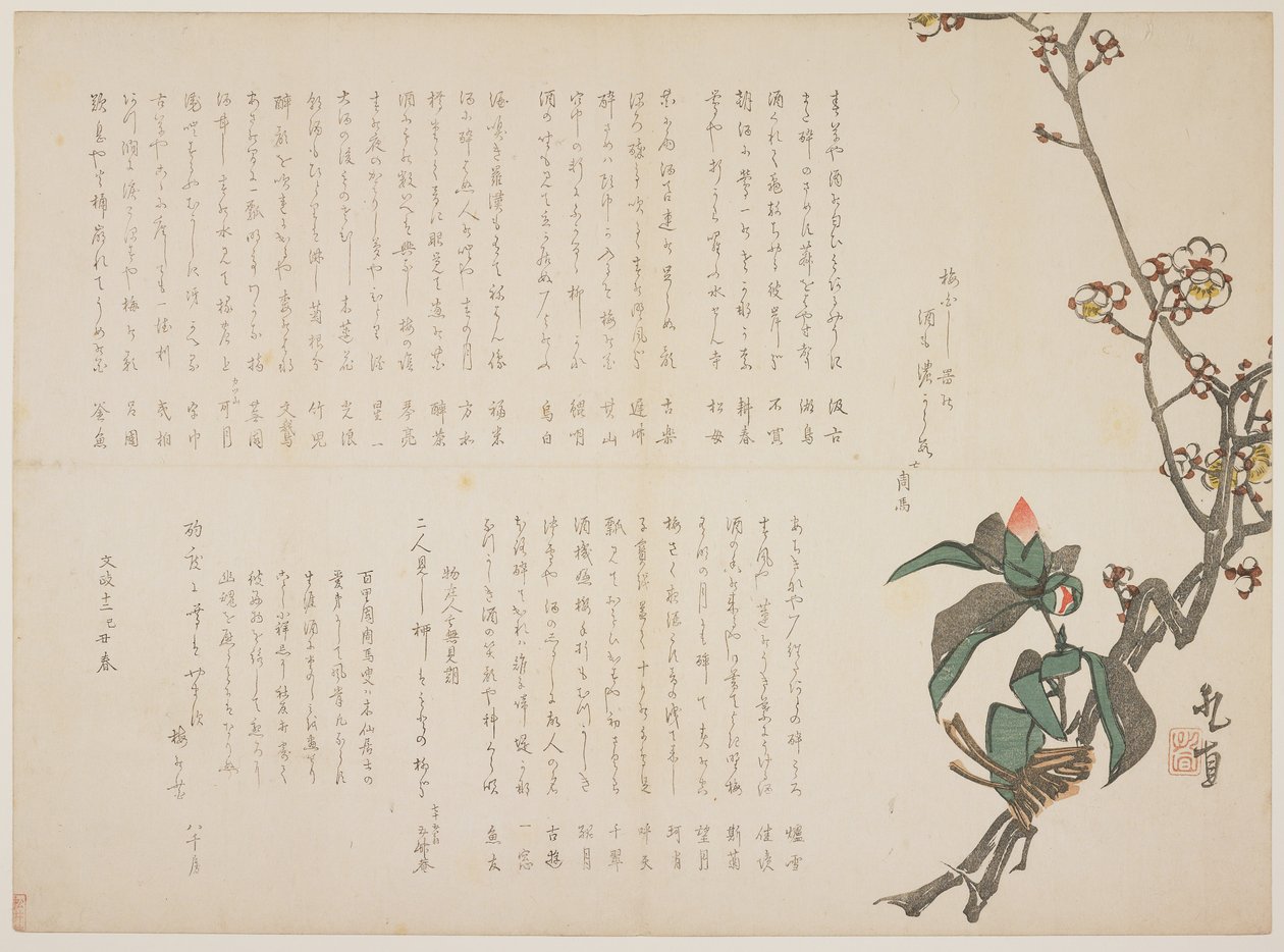 Plomme- og kameliagrener, 1829 (farget treblokktrykk) av Nagayama Kchoku