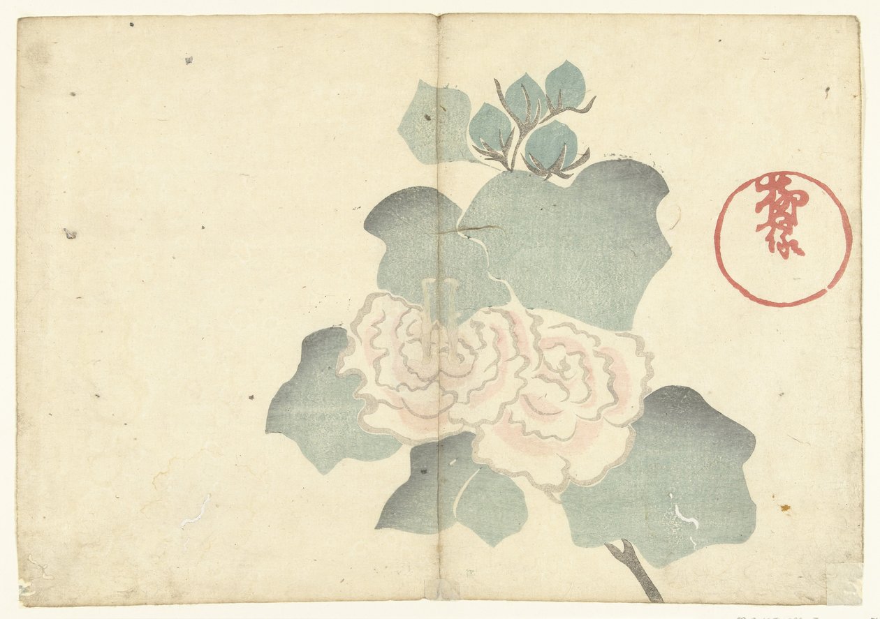Peonies Print album av Korin (serietittel) Korin gafu (serietittel på objekt) av Nakamura Hochu
