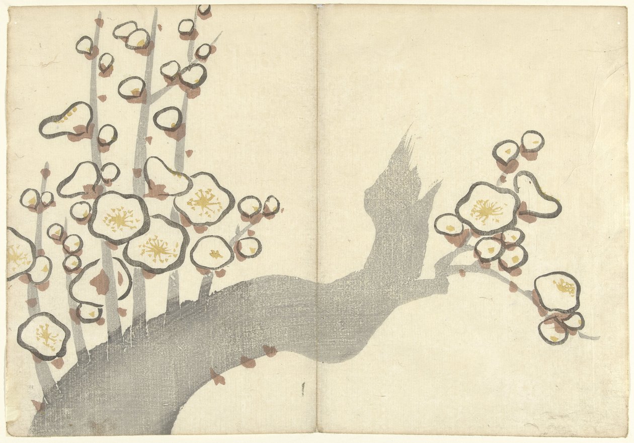 Plomme blomst Bildealbum av Korin (serietittel) Korin gafu (serietittel) av Nakamura Hochu