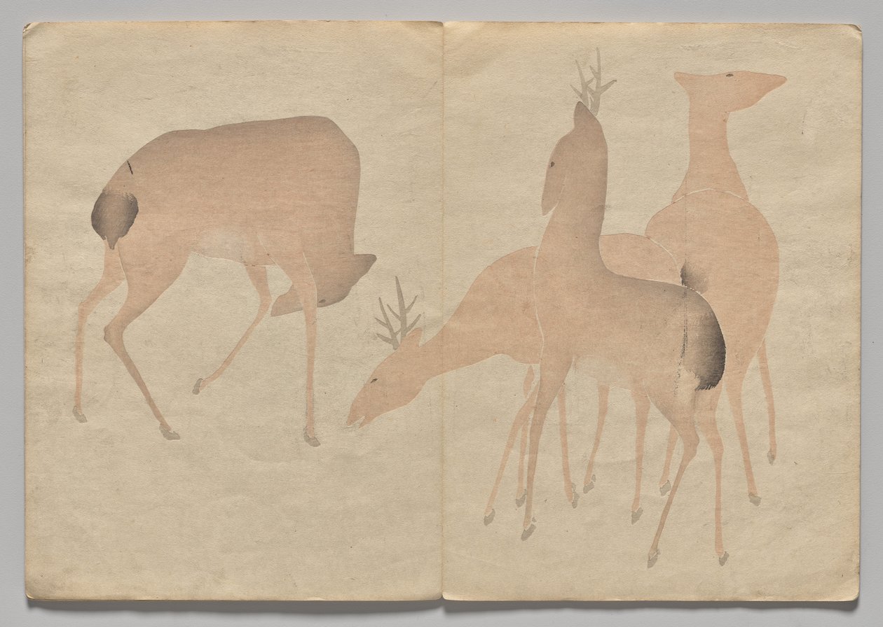 Scene fra The Kōrin Picture Book (bind 1) av Nakamura Hochu