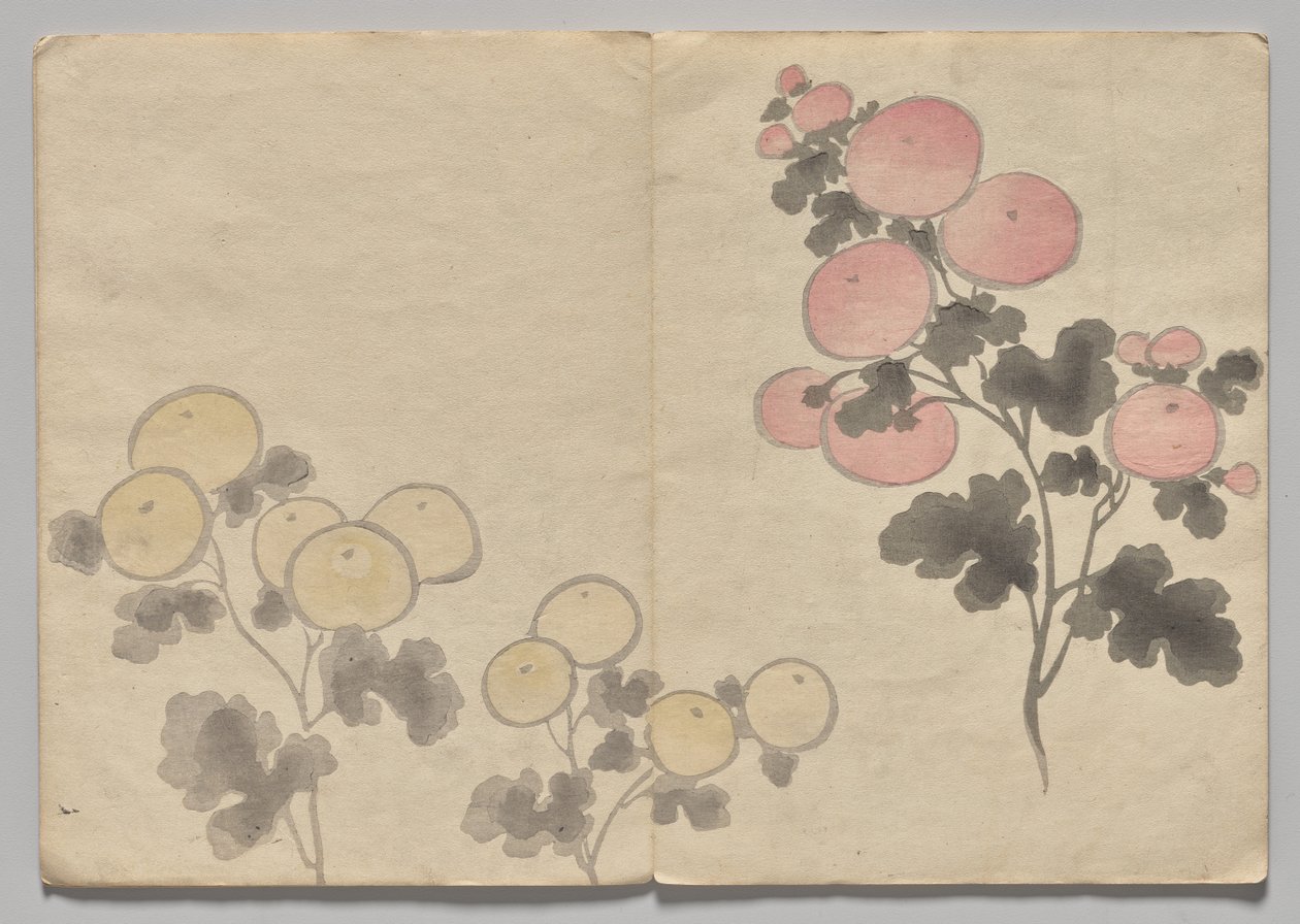 Scene fra The Kōrin Picture Book (bind 1) av Nakamura Hochu