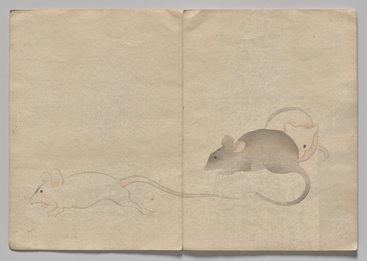 Scene fra The Kōrin Picture Book (bind 2) av Nakamura Hochu