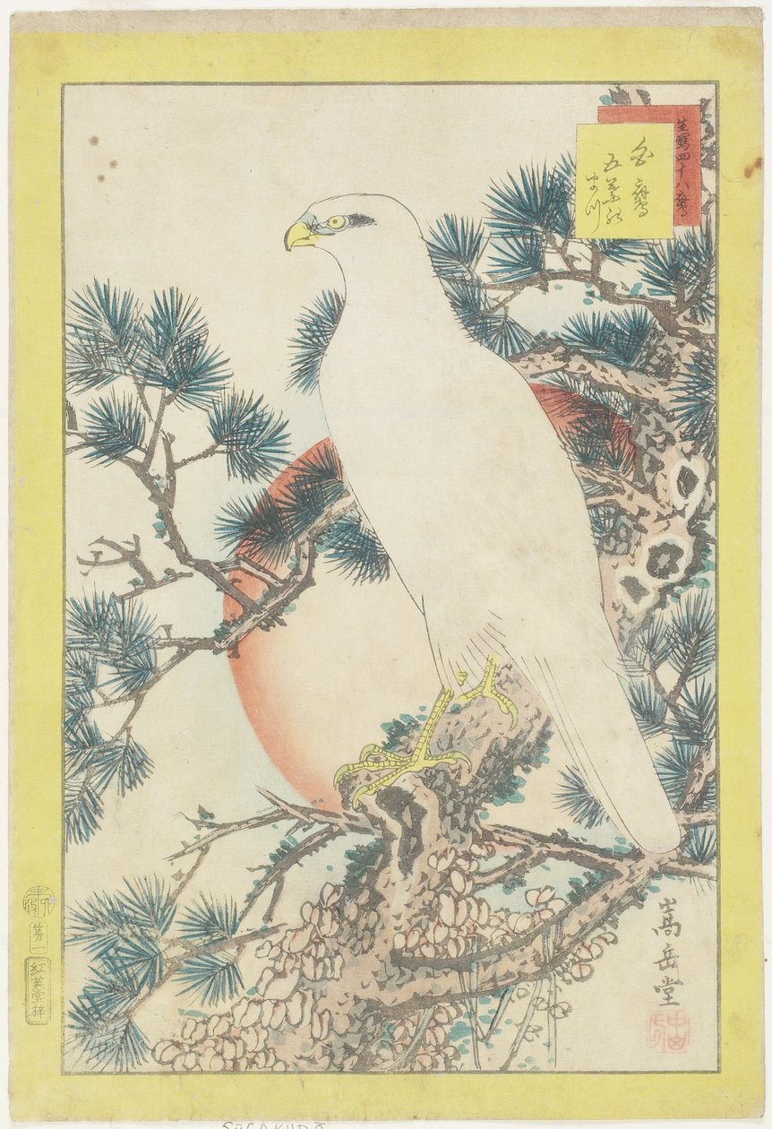 nr. 1, hvit falk og femnålet furu, 1859 (farget treblokktrykk) av Nakayama Sugakudo