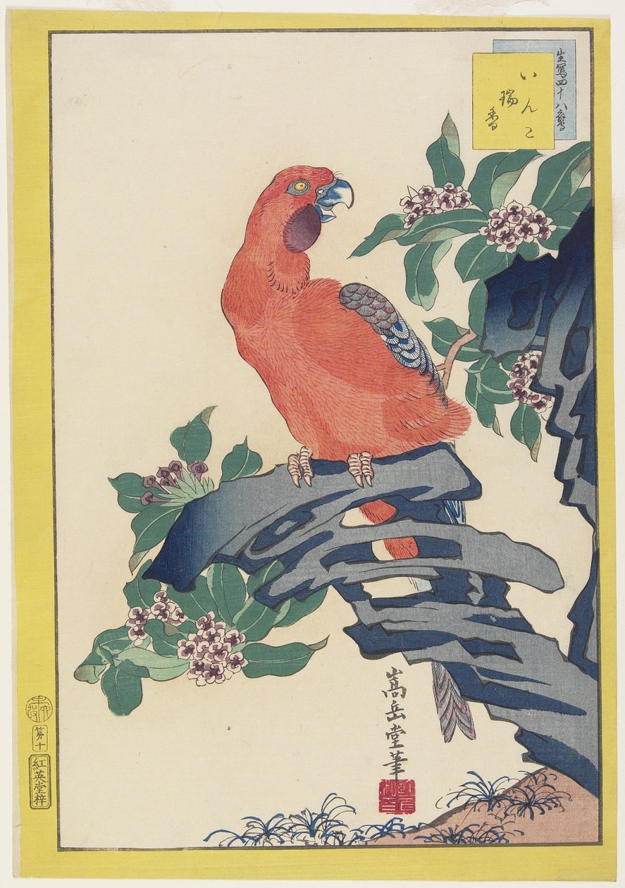 Pink Parrot on Rock, 1859 (farget treblokktrykk) av Nakayama Sugakudo