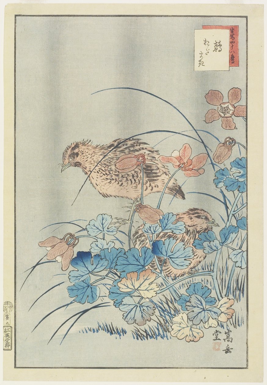 Two Quails in Bush, 1859 (farget treblokktrykk) av Nakayama Sugakudo