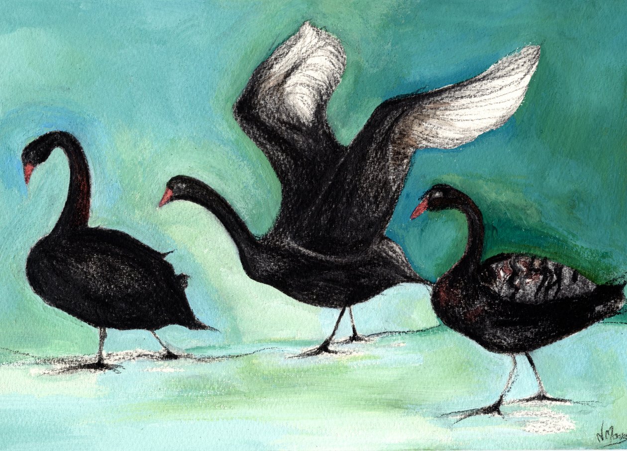 A ballet of Black Swans, 2013, (kull og gouache på kort) av Nancy Moniz Charalambous
