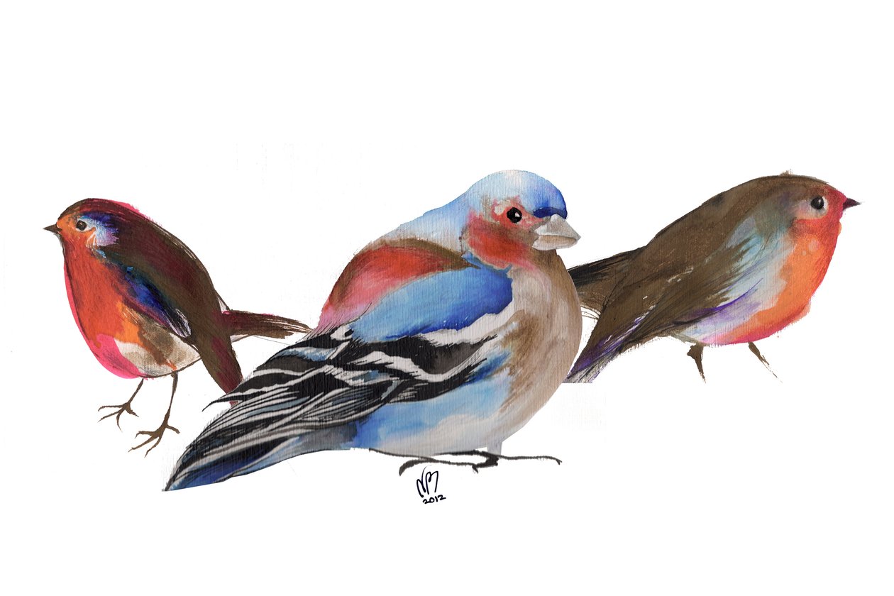 Birds of a Feather, 2011, blekk på papir av Nancy Moniz Charalambous
