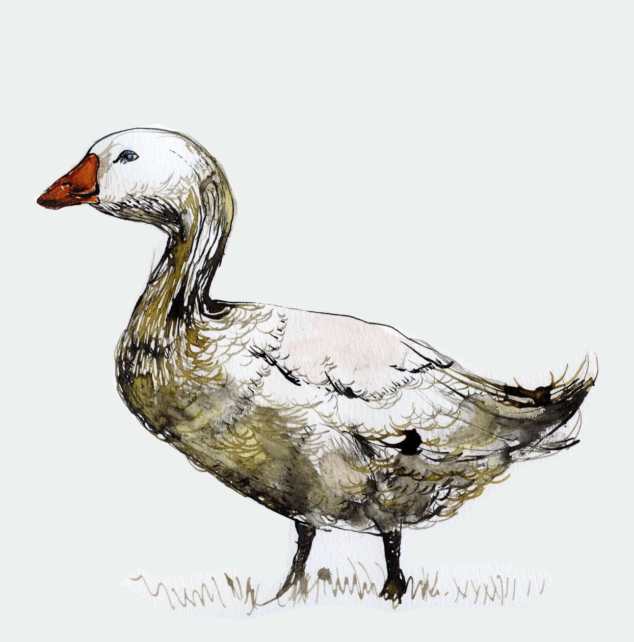 Filthy Goose, 2017, (blekk på papir) av Nancy Moniz Charalambous