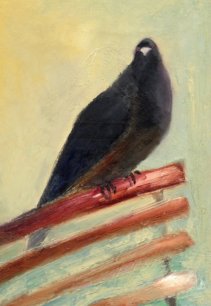 Kingly Court Pigeon, 2013, av Nancy Moniz Charalambous
