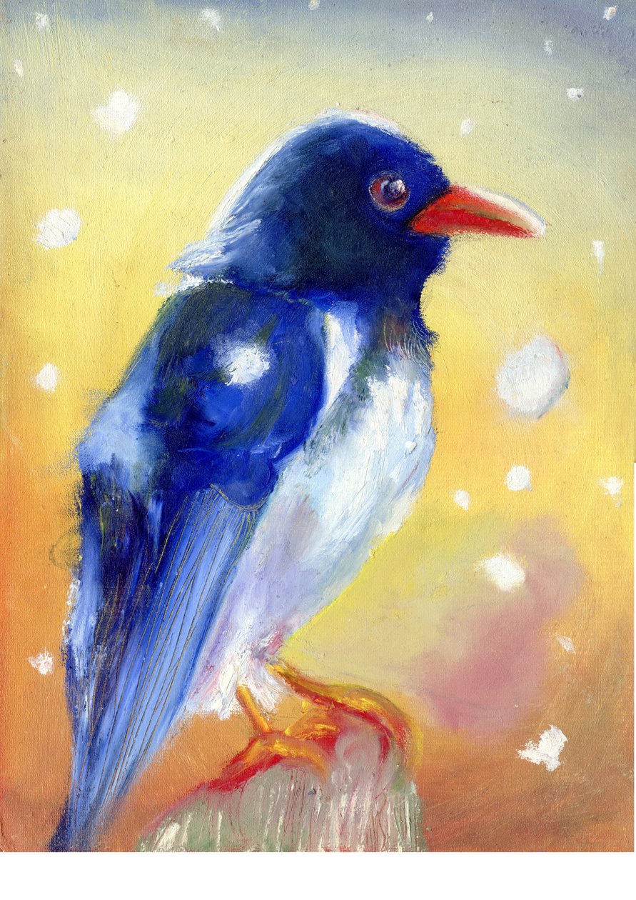 Red Billed Magpie med snødråper, 2012, av Nancy Moniz Charalambous