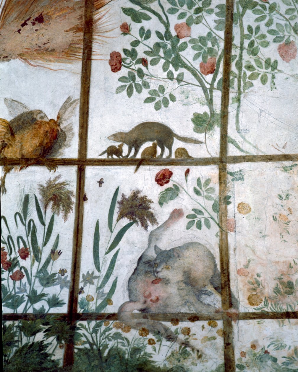 Forkammeret til Studiolo-studiet til Francesco deMedici 1541-87 detalj av dekorasjon som viser dyr i en hagepergola, freskomaleri fra 1564-75 av Bartolomeo Ammannati