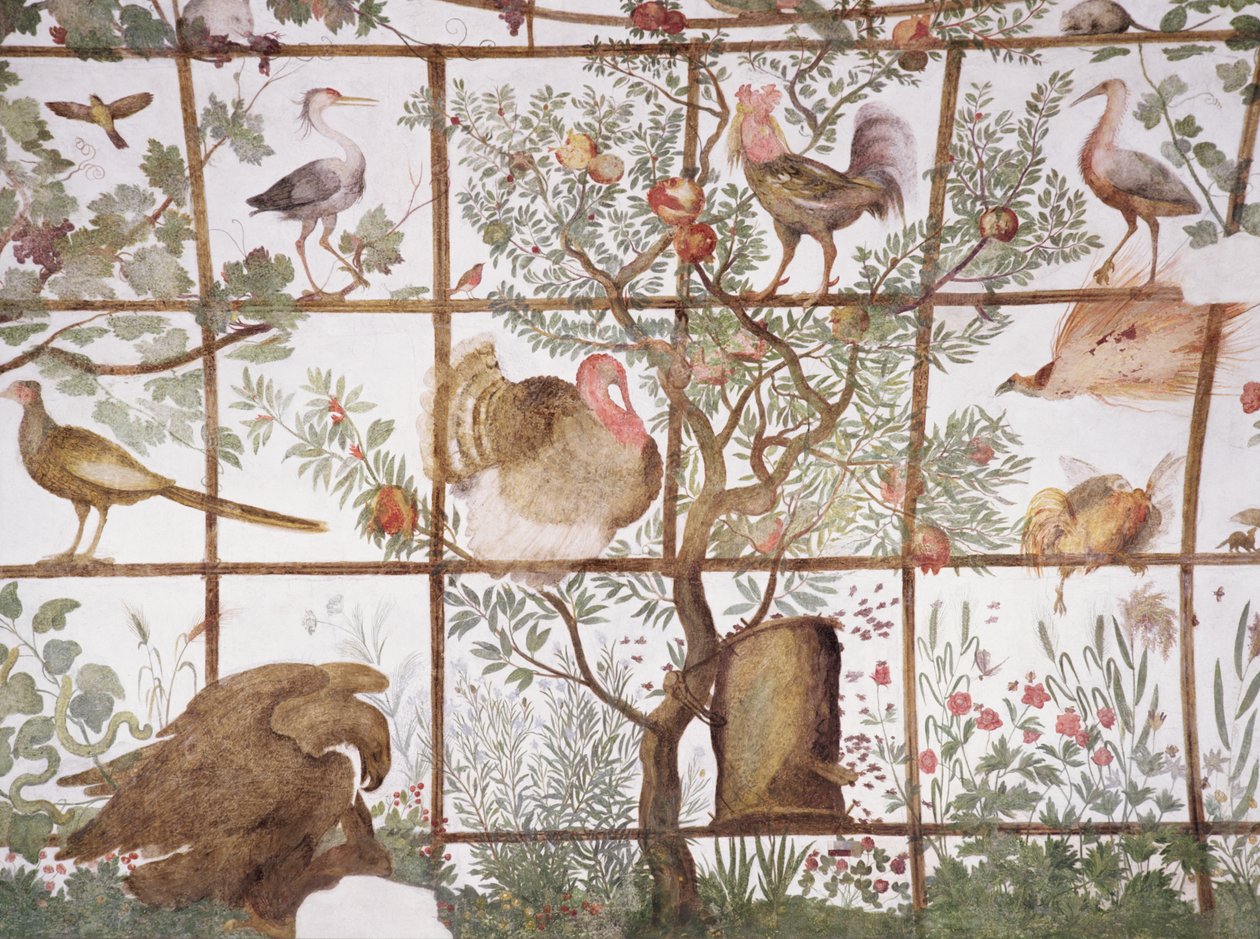 Forkammeret til Studiolo-studiet til Francesco deMedici 1541-87 detalj av dekorasjon som viser fugler i en hagepergola, freskomaleri fra 1564-75 av Bartolomeo Ammannati