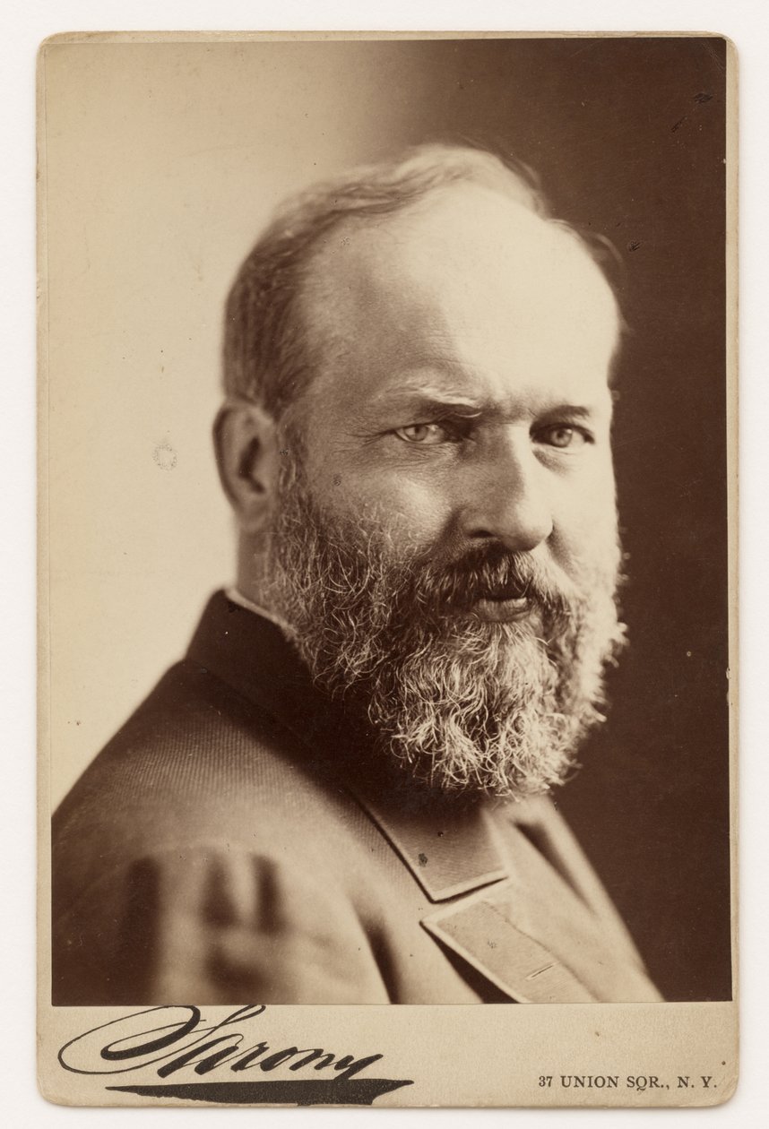 James Garfield av Napoleon Sarony