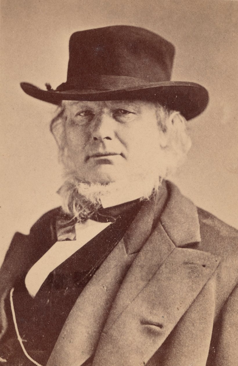 Portrett av Horace Greeley 1811-1872, 1869. av Napoleon Sarony