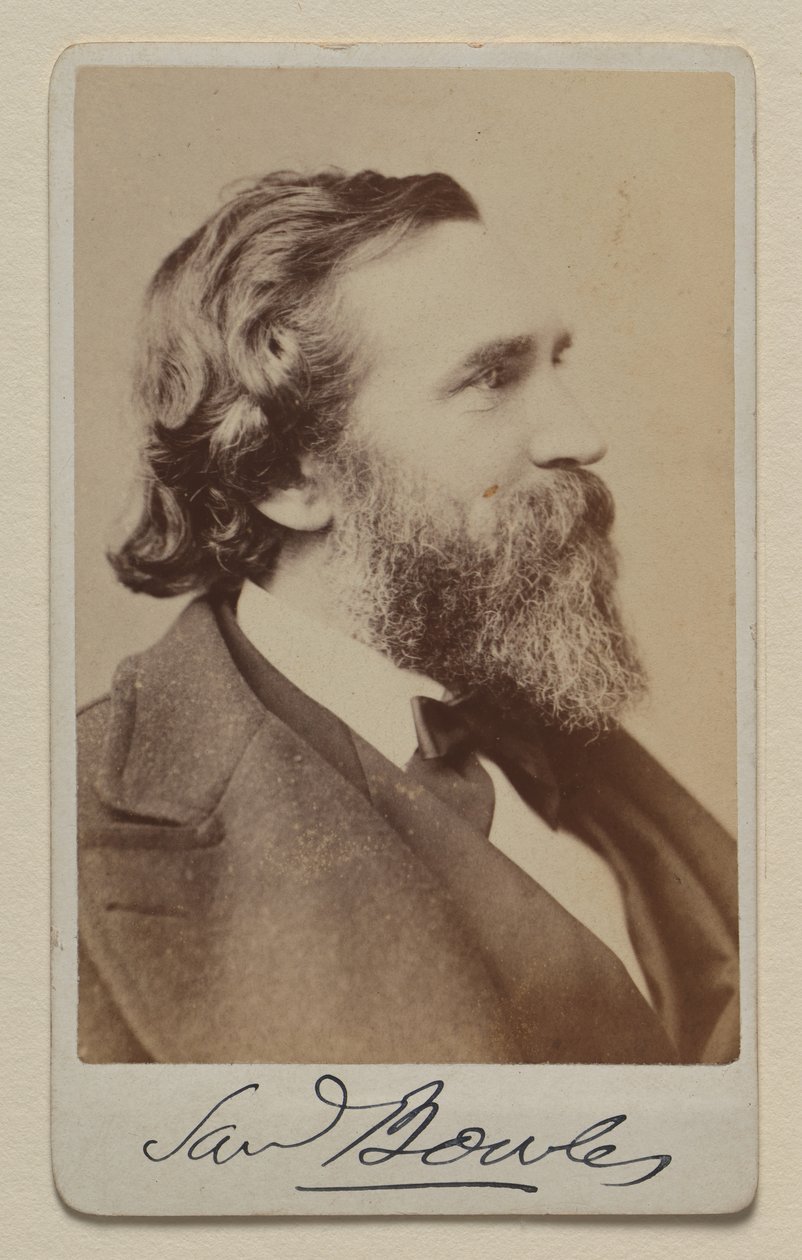 Samuel Bowles II av Napoleon Sarony
