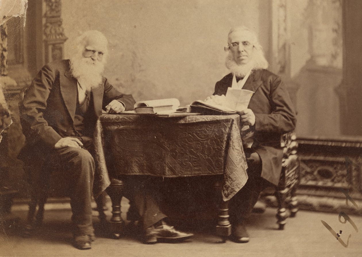 William Cullen Bryant og Peter Cooper av Napoleon Sarony