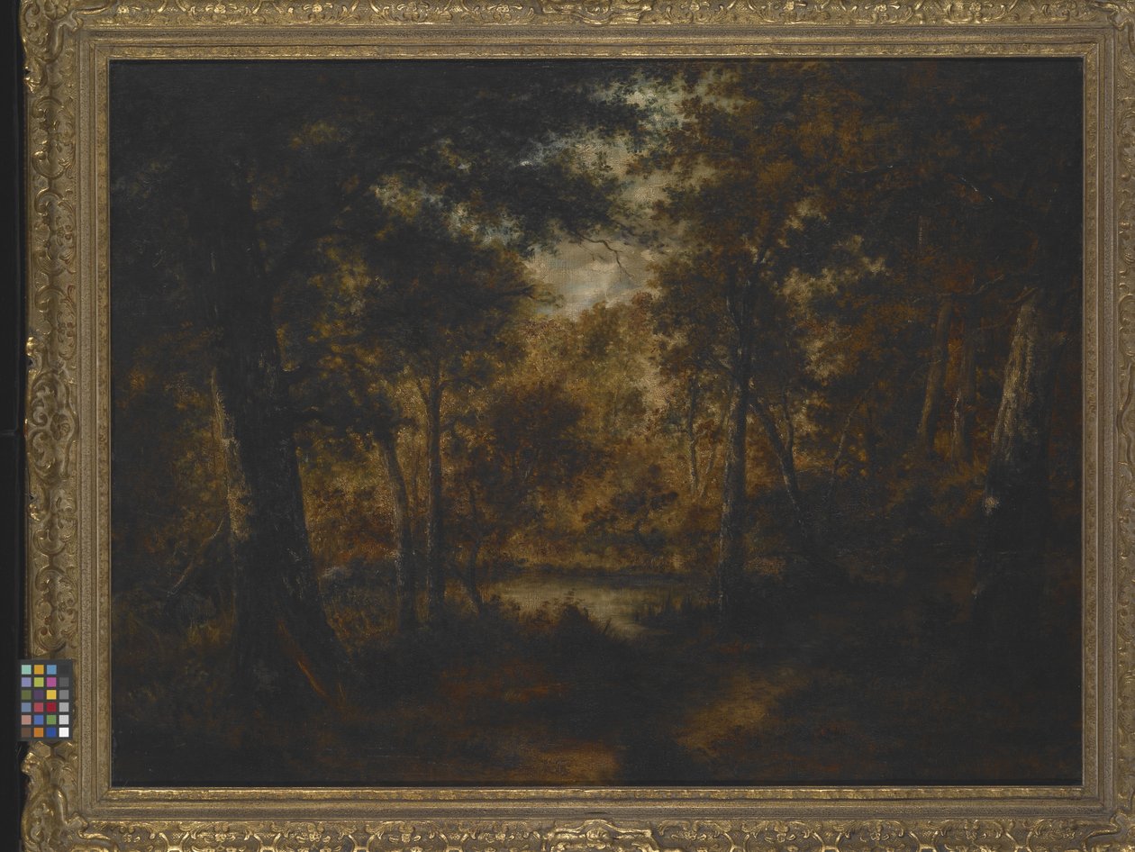 The Fairy Pool (olje på lerret) av Narcisse Virgile Diaz de la Peña