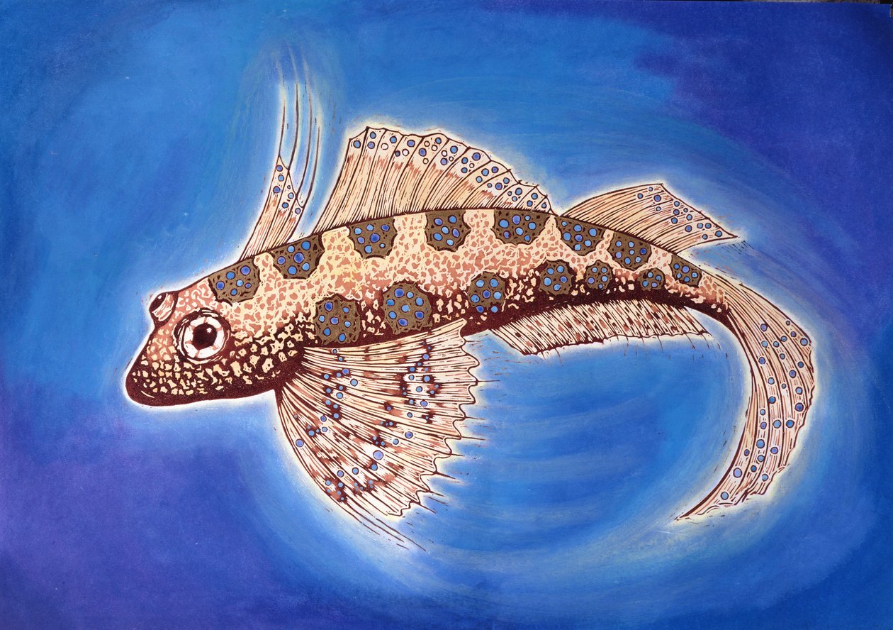 Dragonet Fish, 1999 (tresnitttrykk og blandede medier) av Nat Morley