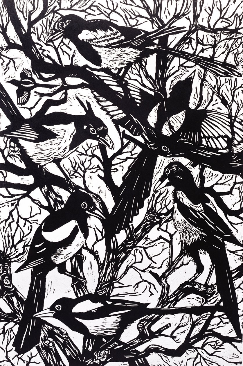 Magpies, 1997 av Nat Morley