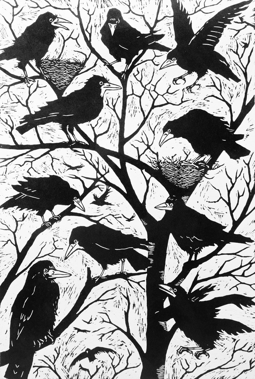 Rooks, 1998 av Nat Morley