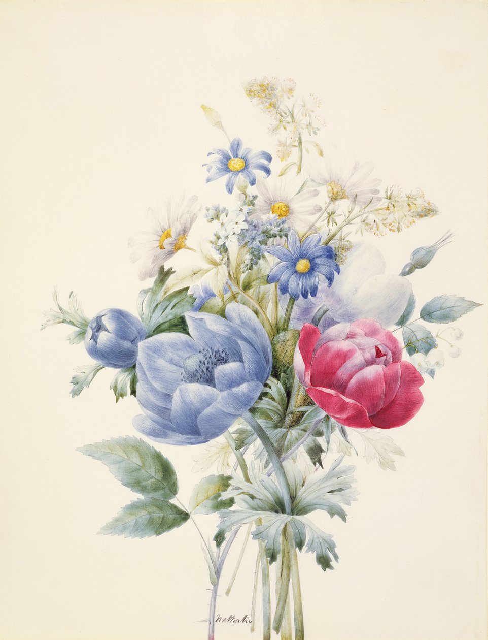 En rose, anemone, Mignonette og tusenfryd (wc og gouache på vellum) av Nathalie d
