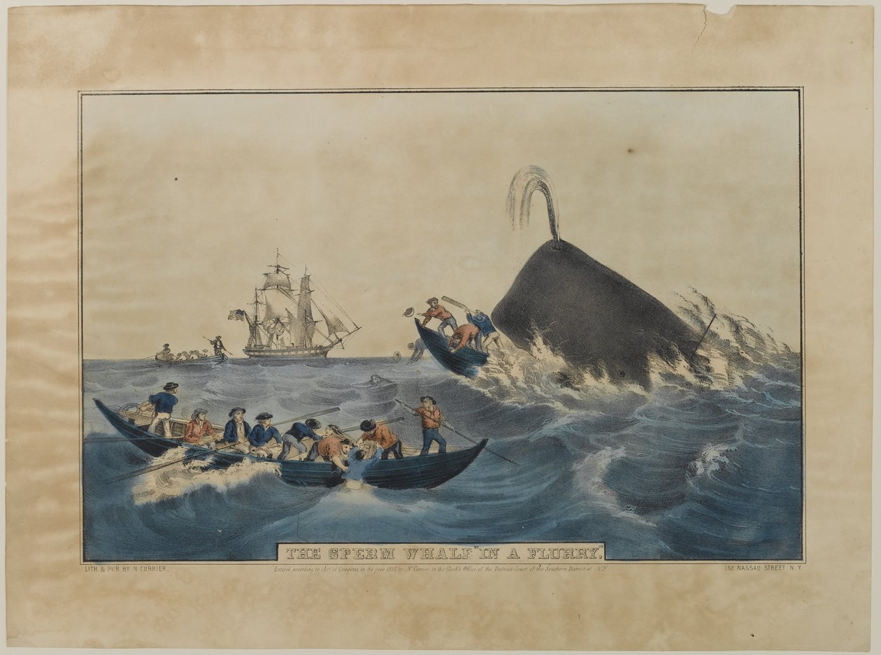 Sperm Whale in a Flurry, utgitt av N. Currier, 1852 av Nathaniel Currier