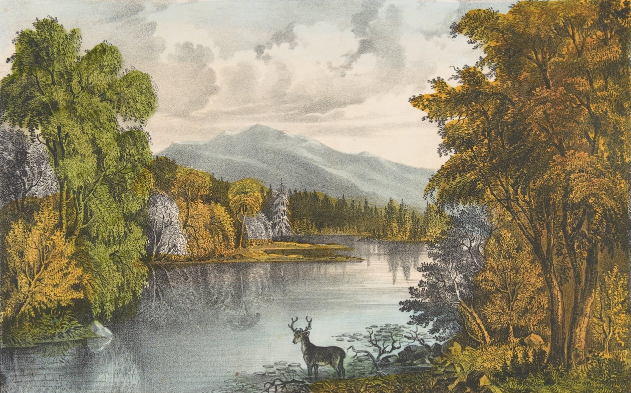 Moosehead Lake, Maine, 1857-72., 1857-72. Skapere: Nathaniel Currier, James Merritt Ives, Currier og Ives. av Currier and Ives