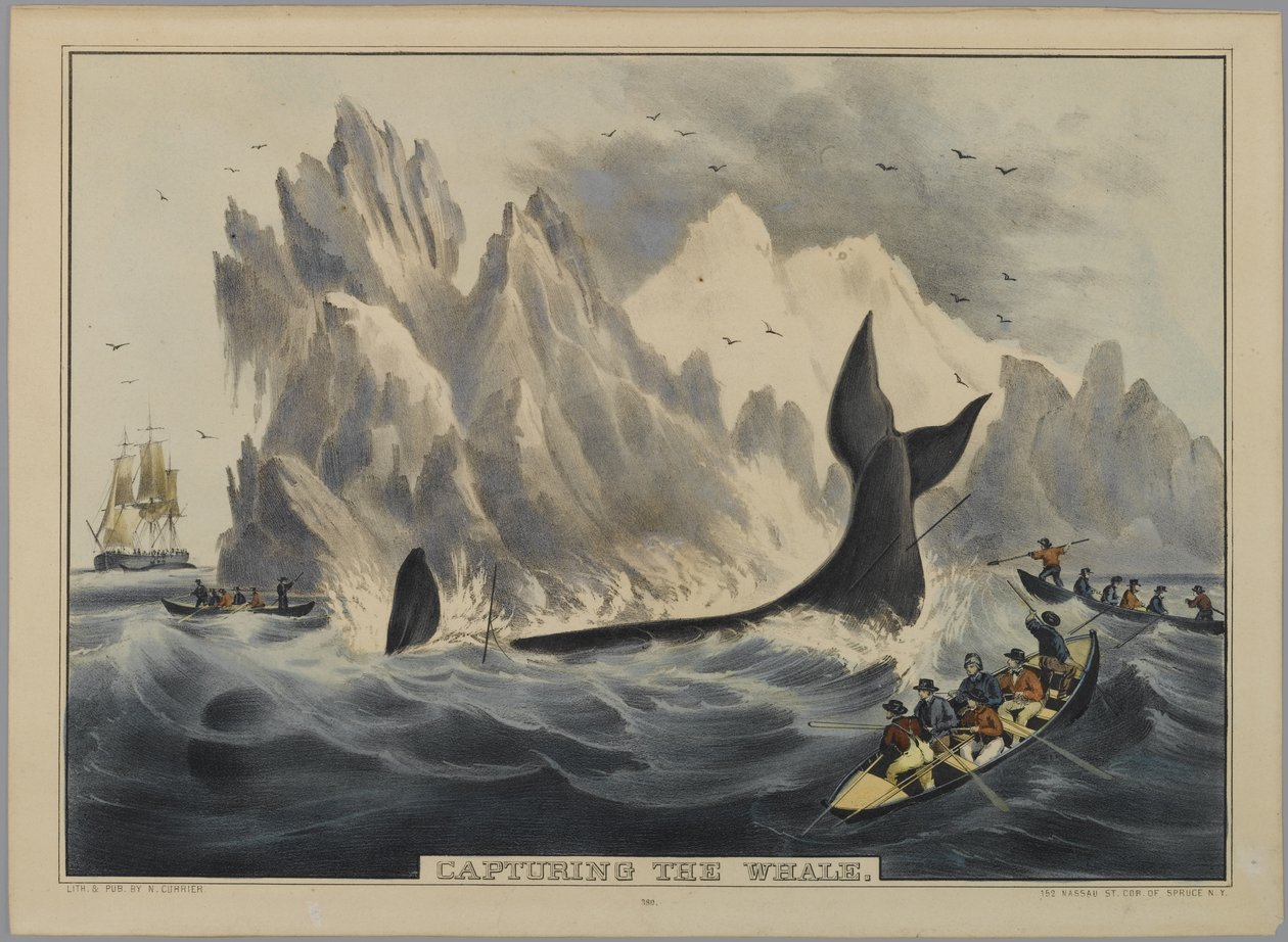 Capture the Whale (håndfarget litho) av Nathaniel Currier
