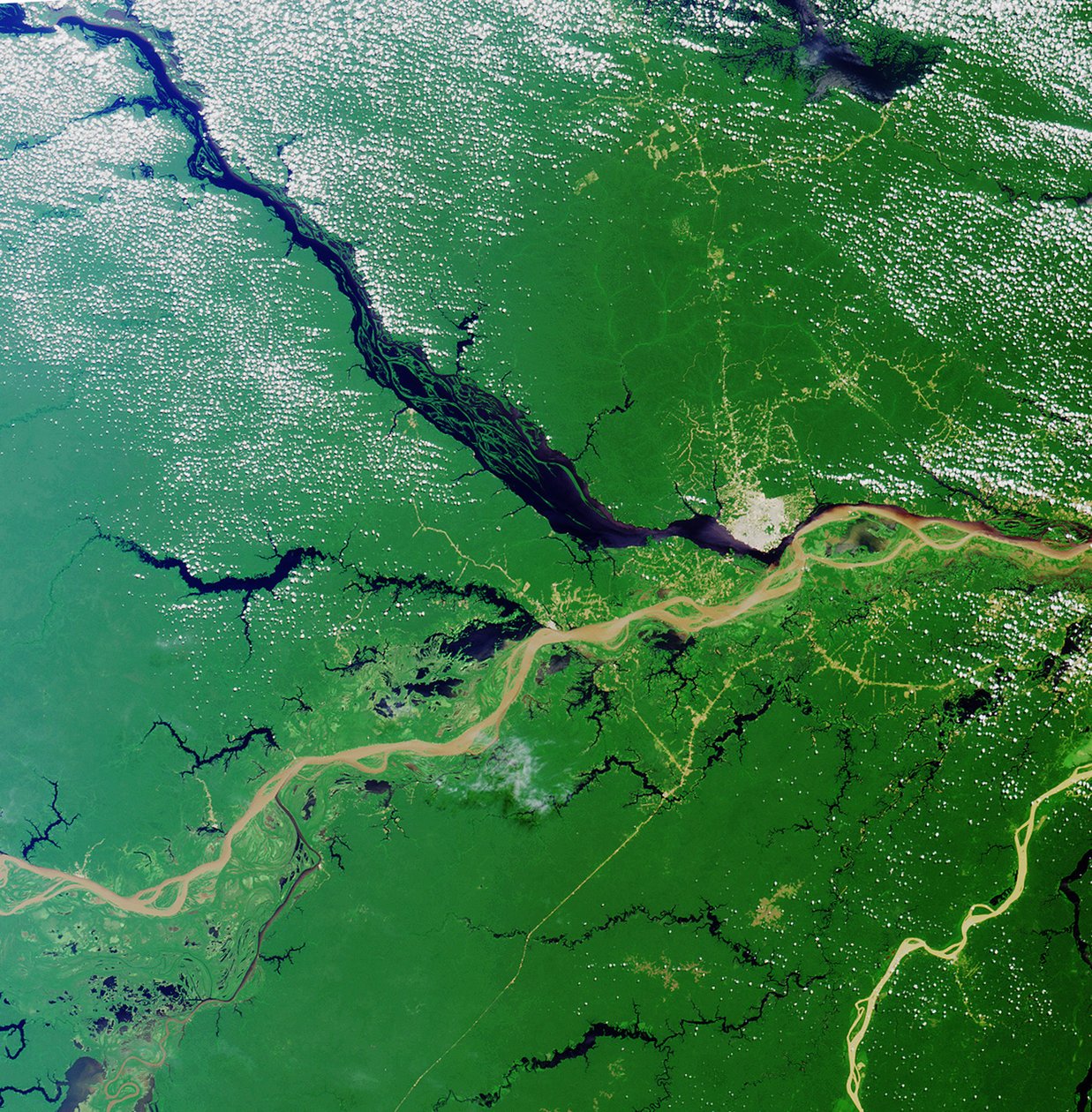 Konvergens av Rio Solimoes og Rio Negro nær Manaus, Brasil, for å danne Amazonas-elven, den største elven på jorden. Satellittbilde 23. juli 2000. Kreditt: NASA. Geografi av National Aeronautics and Space Administration National Aeronautics and Space Administration