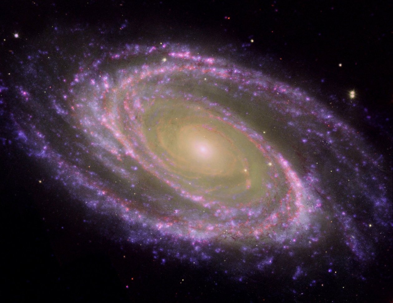 Spiral Galaxy M81, vippet i en skrå vinkel mot terrestrisk siktlinje, sett i lys med flere bølgelengder. Kreditt NASA. Vitenskap Astronomi Stellar Space av National Aeronautics and Space Administration National Aeronautics and Space Administration
