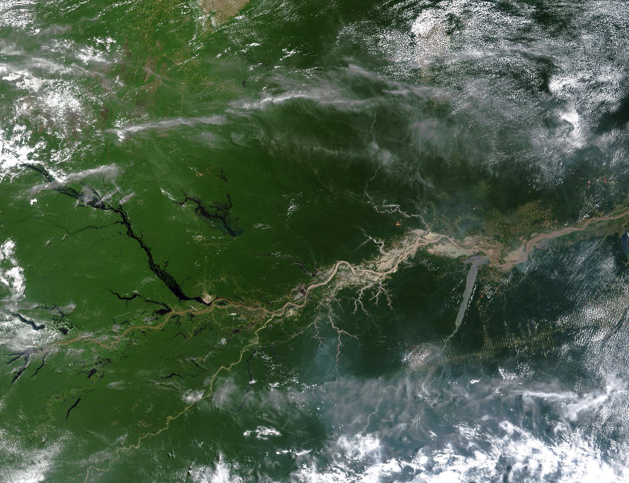 Sannfarget satellittbilde av Amazonas-elven, som renner ned en femtedel av elvevannet og kommer inn i jordens hav. Kreditt: NASA. Sør-Amerika vitenskapsgeografi av National Aeronautics and Space Administration National Aeronautics and Space Administration