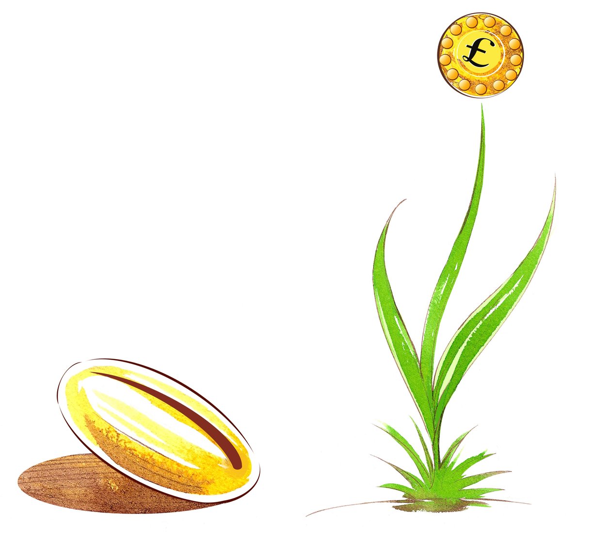 Seed and shoot - illustrasjon av finansiell allegori av Neale Osborne