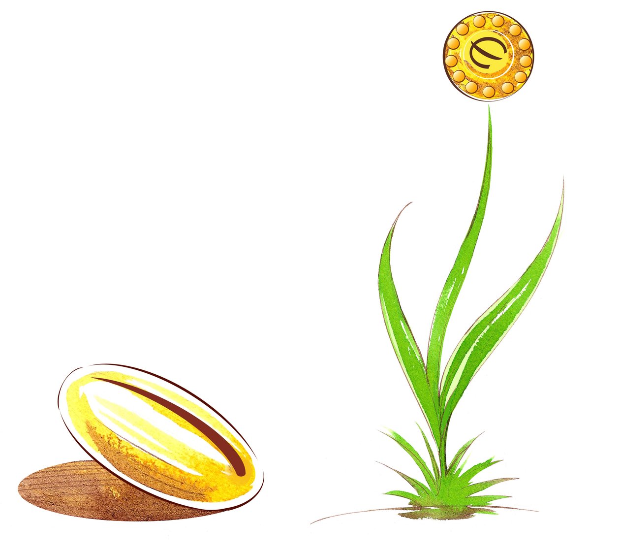 Seed and shoot - illustrasjon av finansiell allegori av Neale Osborne