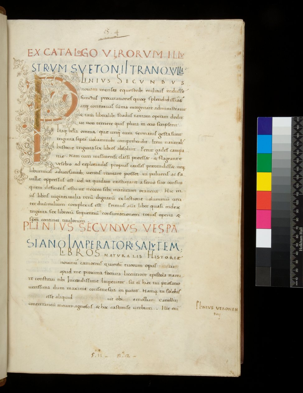 Ms 394.1. Plinius den eldre, Historia naturalis, f.1r. Opplyst initial [P] med dekor av hvit vinstokk (uferdig), Napoli, midten av 1400-tallet, ca. 1442 (pergament) av Neapolitan School